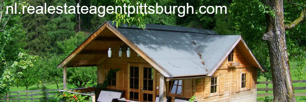 nl.realestateagentpittsburgh.com
